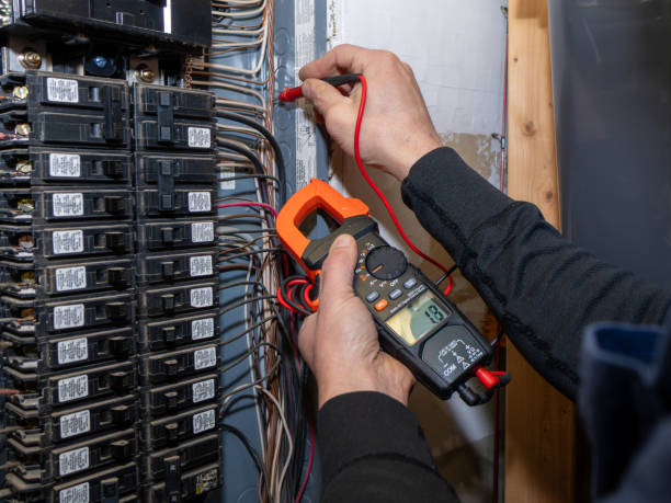 Best Ceiling Fan Installation Electrician  in Vonore, TN
